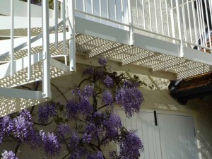 Spiral Staircase Wimborne